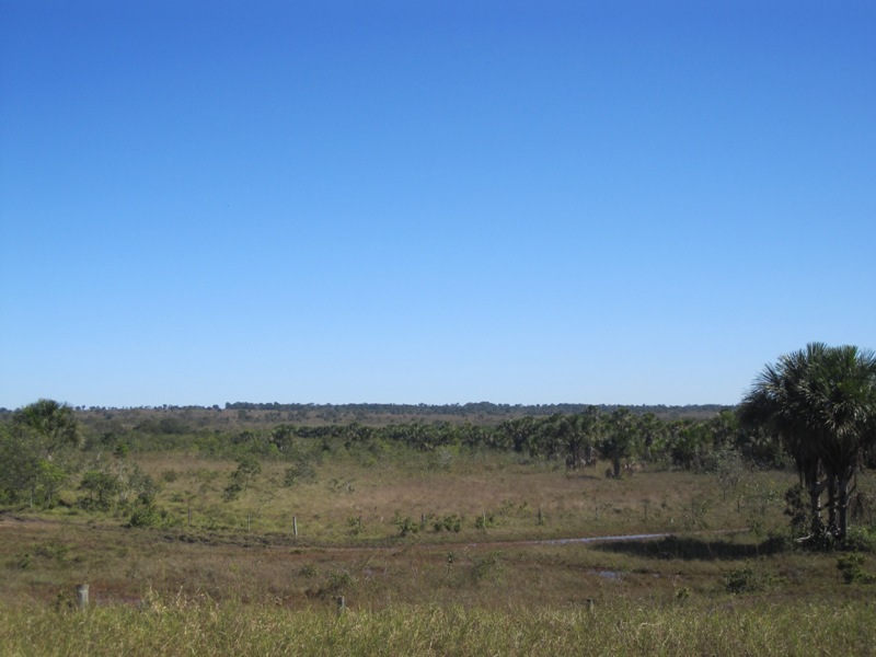 Fazenda à venda, 18640000m² - Foto 8