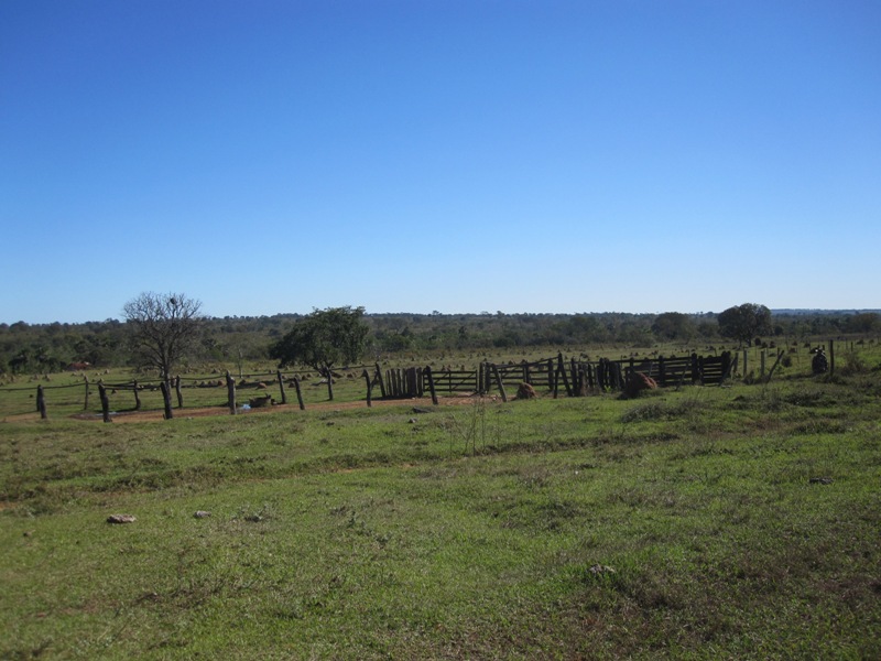 Fazenda à venda, 18640000m² - Foto 11