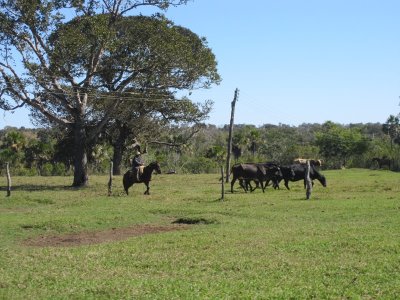 Fazenda à venda, 18640000m² - Foto 2