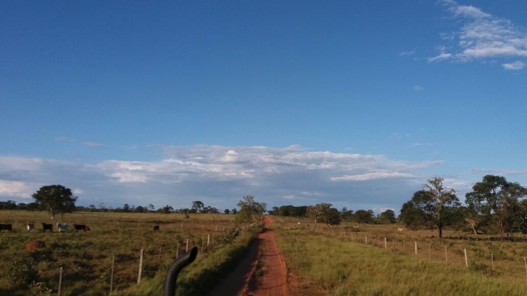 Fazenda à venda, 18640000m² - Foto 15