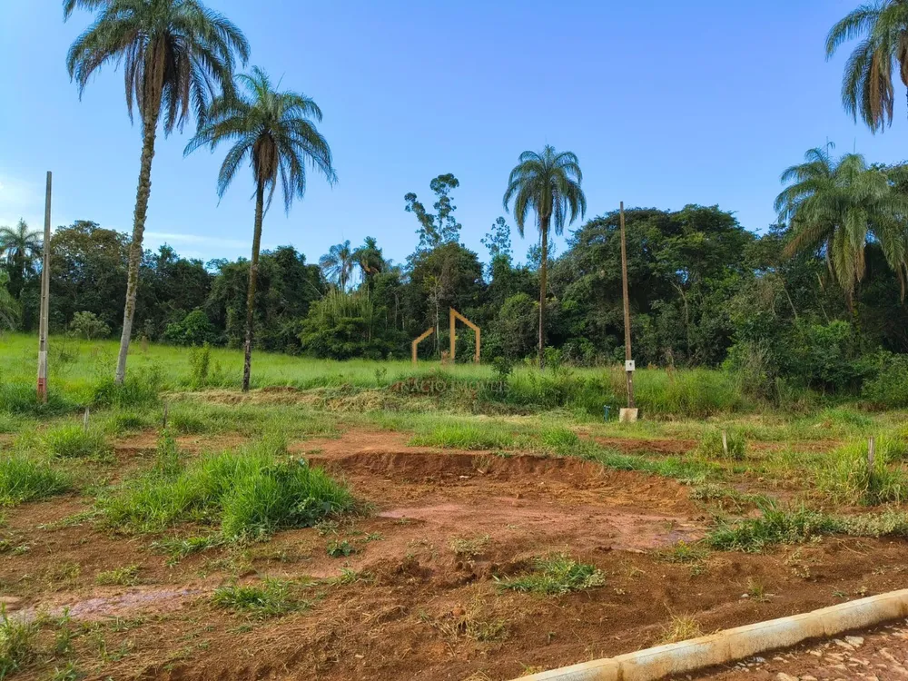 Chácara, 1000 m² - Foto 7