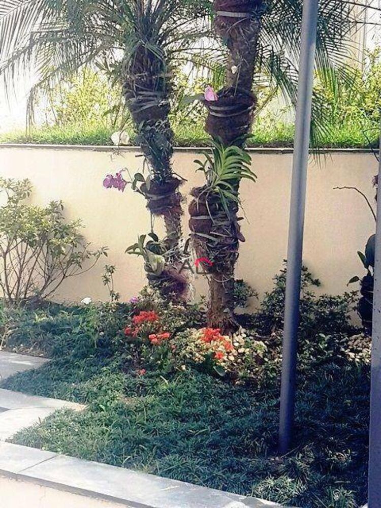 Apartamento, 3 quartos, 74 m² - Foto 2