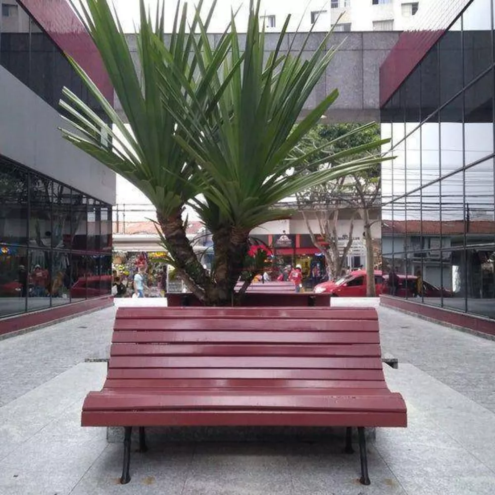 Sala-Conjunto, 30 m² - Foto 3