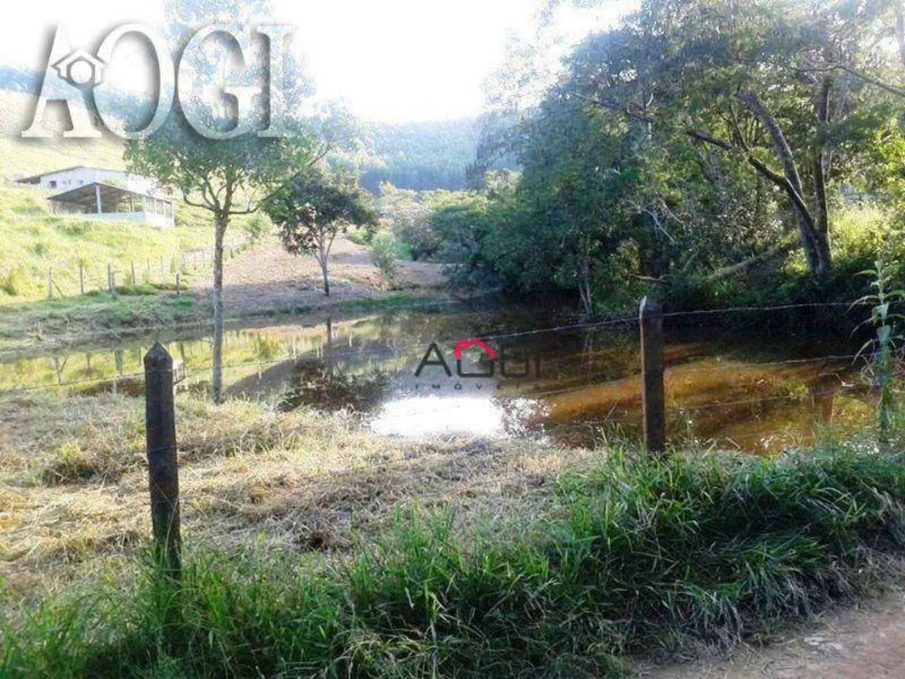 Sítio, 6 quartos, 14 hectares - Foto 10