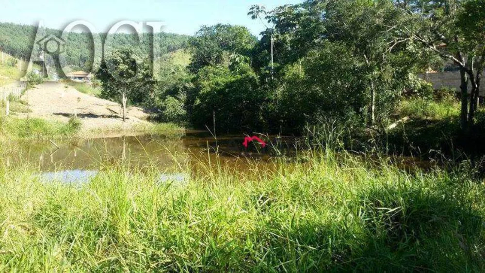 Sítio, 6 quartos, 14 hectares - Foto 7