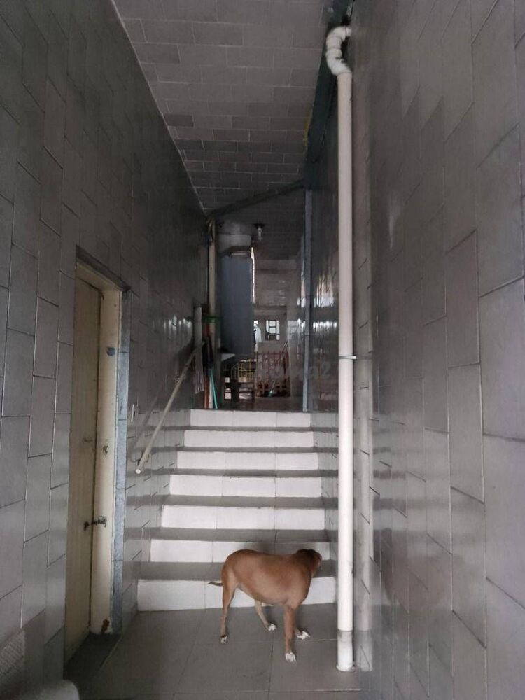 Sobrado, 7 quartos - Foto 4