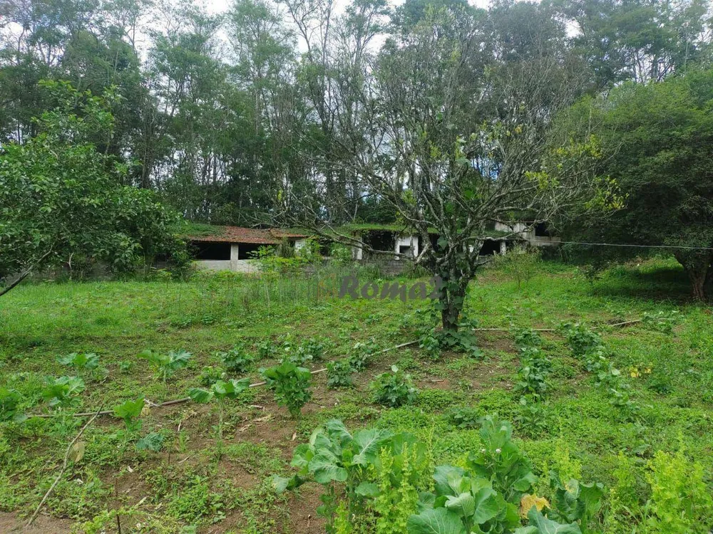 Chácara, 4 quartos, 1 hectares - Foto 6