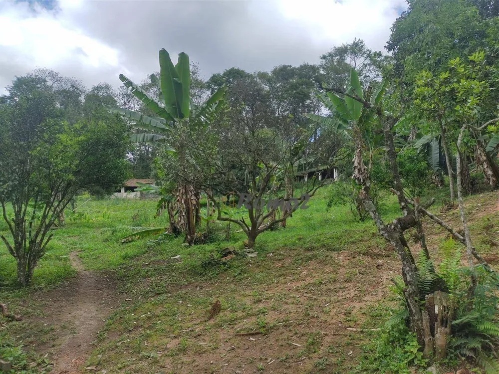 Chácara, 4 quartos, 1 hectares - Foto 8