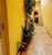 Casa, 4 quartos - Foto 18
