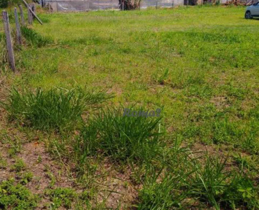 Terreno, 25 hectares - Foto 3