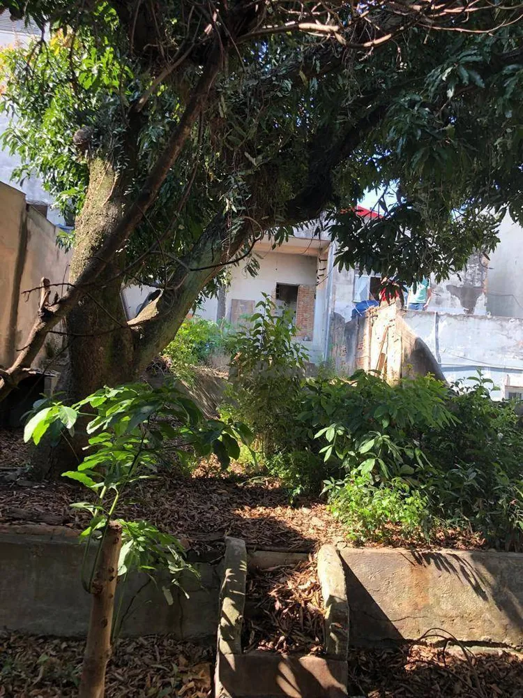 Terreno, 290 m² - Foto 9