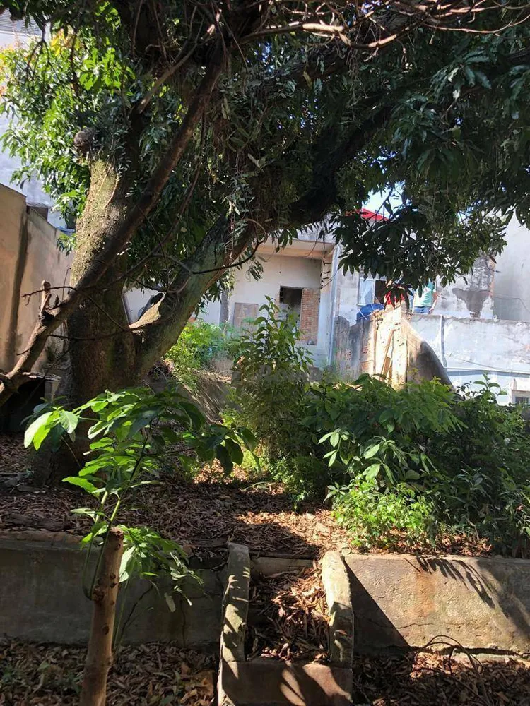 Terreno, 290 m² - Foto 10