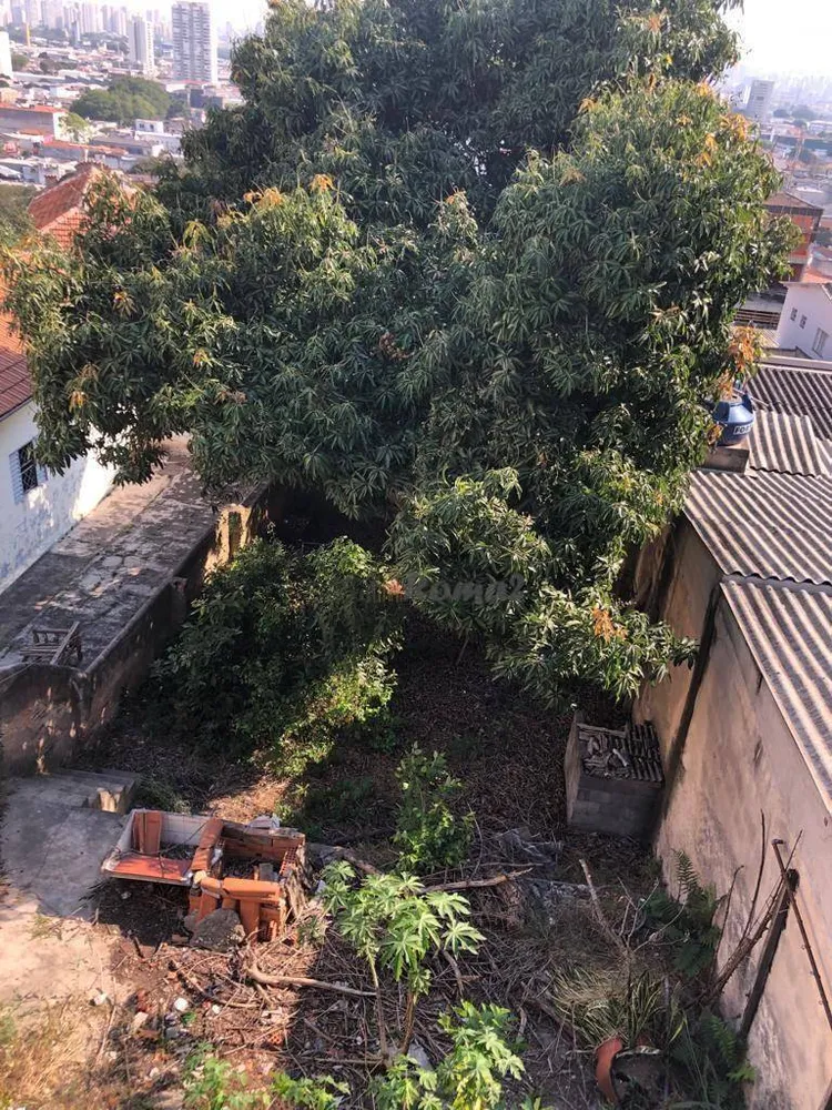 Terreno, 290 m² - Foto 11