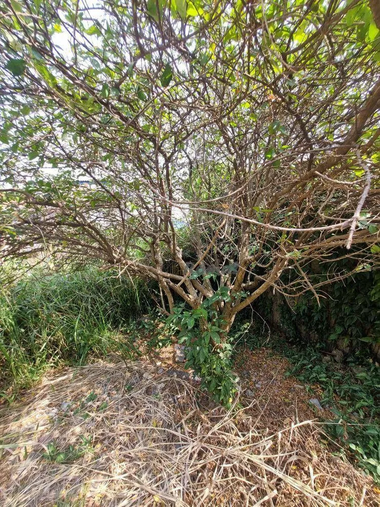Terreno, 300 m² - Foto 3