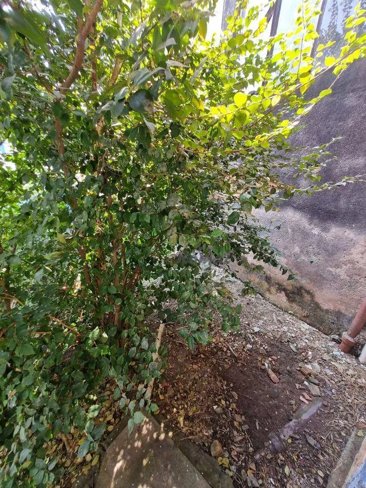 Terreno, 300 m² - Foto 8