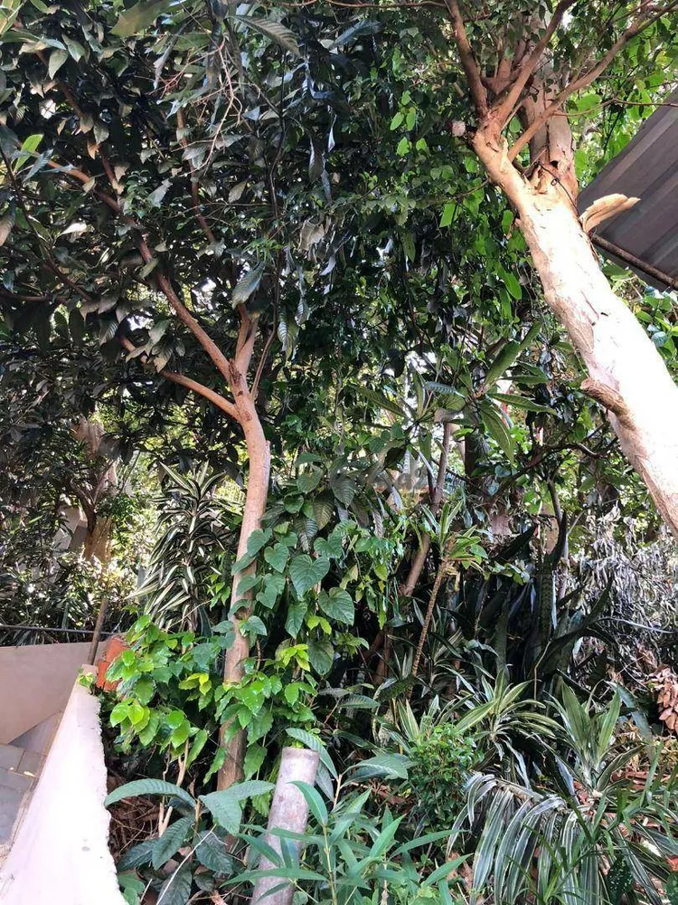 Casa, 4 quartos - Foto 4
