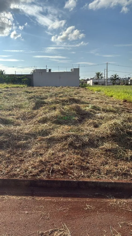 Terreno, 497 m² - Foto 3