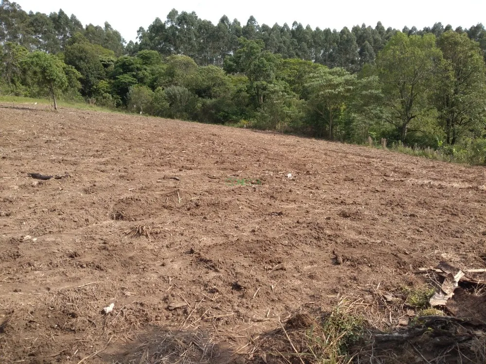 Sítio, 11 hectares - Foto 4