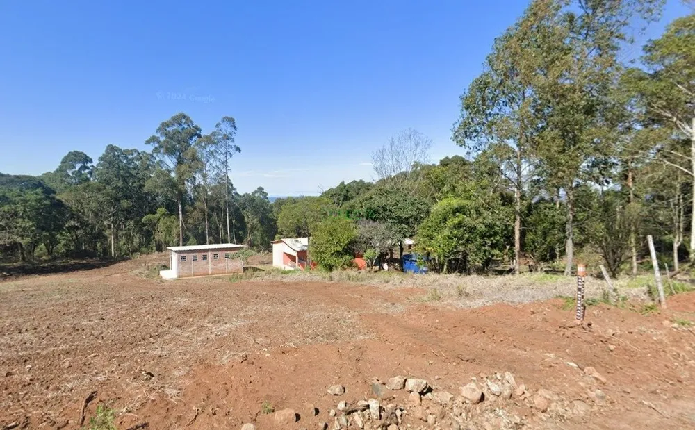 Sítio, 11 hectares - Foto 3