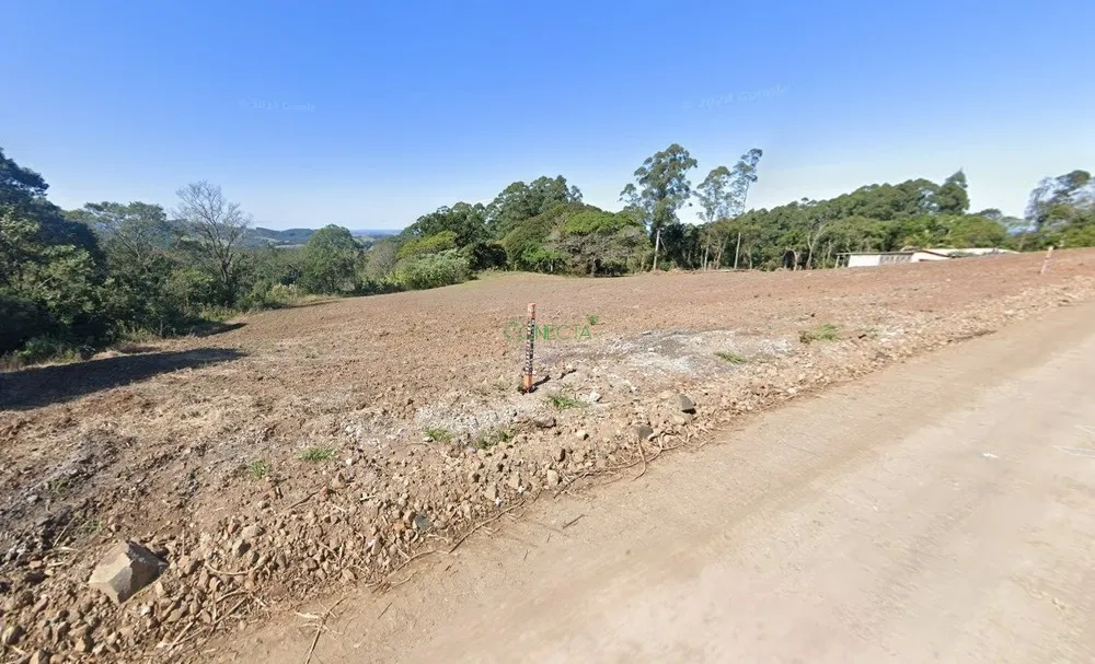 Sítio, 11 hectares - Foto 1