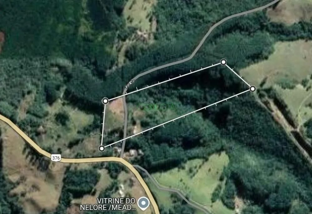 Sítio, 11 hectares - Foto 6