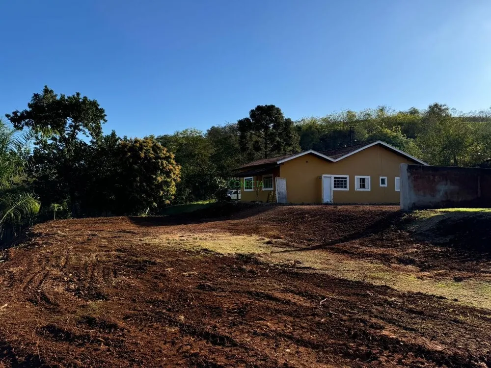 Chácara, 3 quartos, 10000 m² - Foto 11