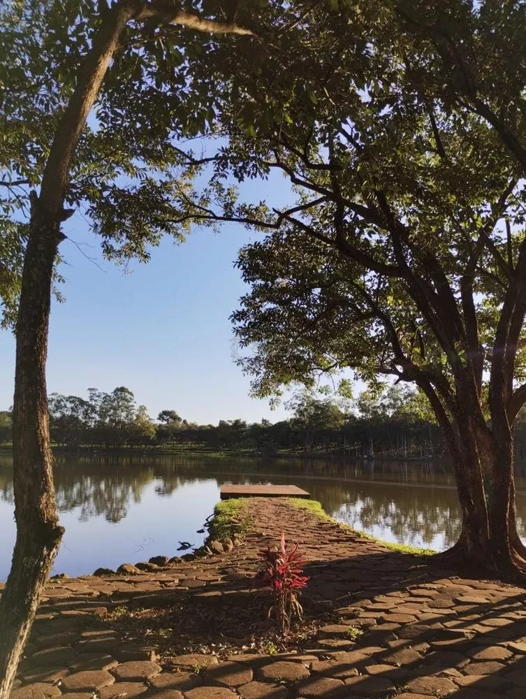 Chácara, 3 quartos, 10000 m² - Foto 2