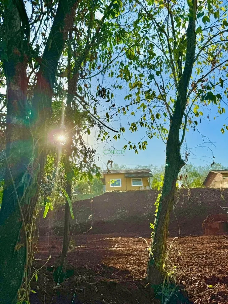 Chácara, 3 quartos, 10000 m² - Foto 8