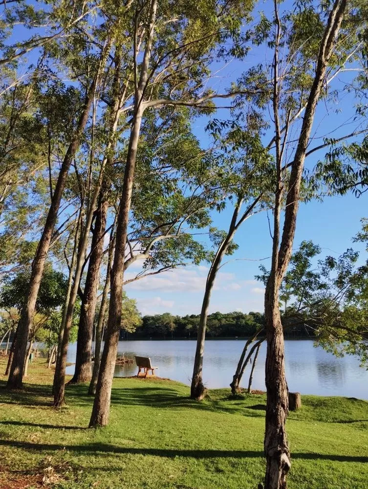 Chácara, 3 quartos, 10000 m² - Foto 3