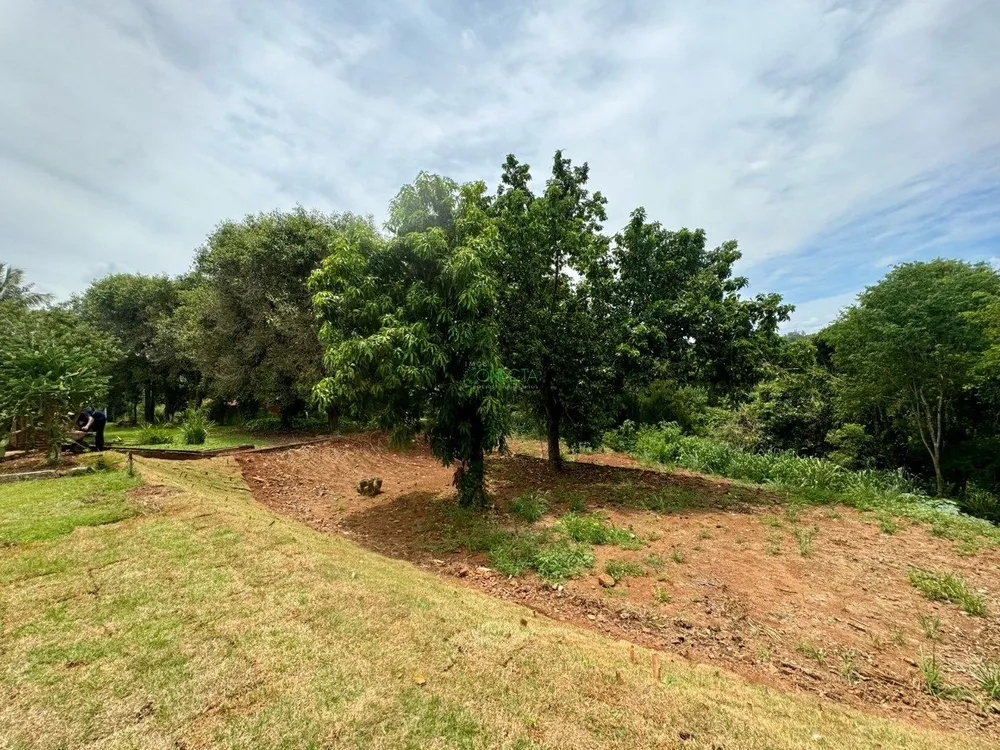 Chácara, 3 quartos, 10000 m² - Foto 6