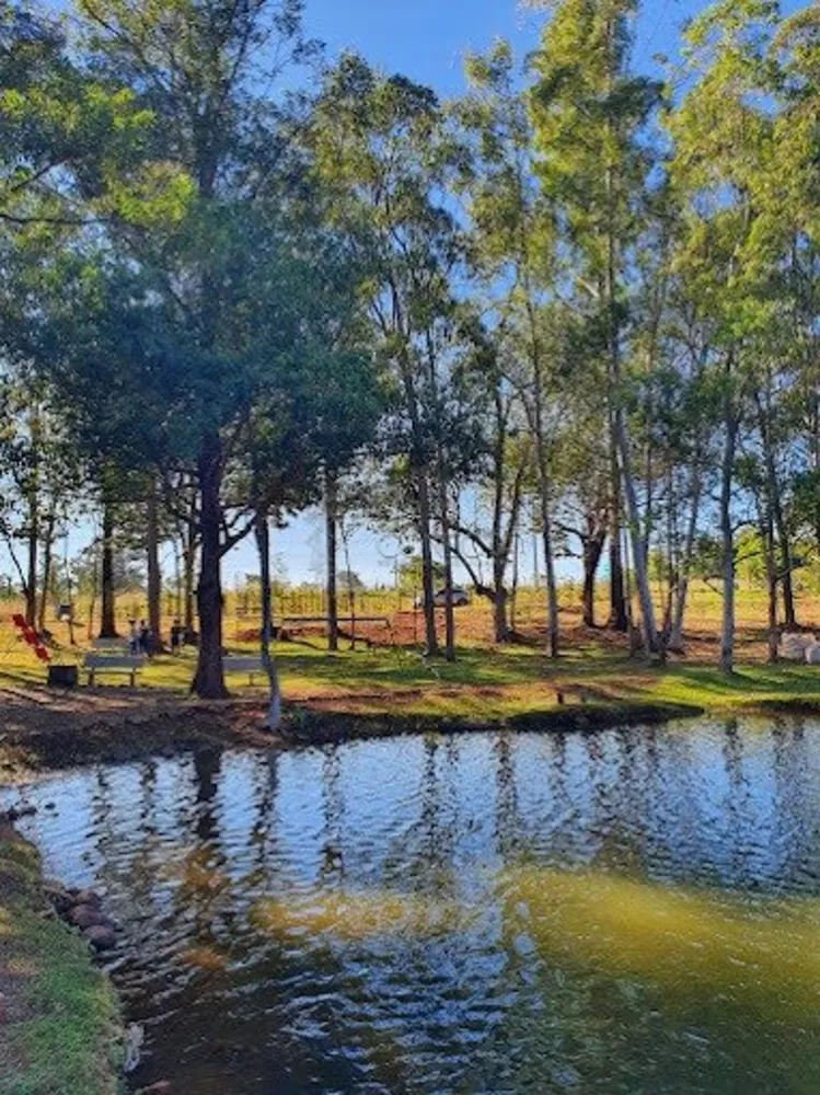 Chácara, 3 quartos, 10000 m² - Foto 7