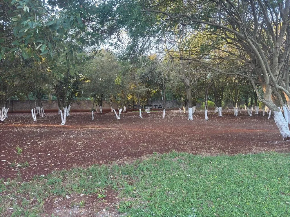 Terreno, 422 m² - Foto 11