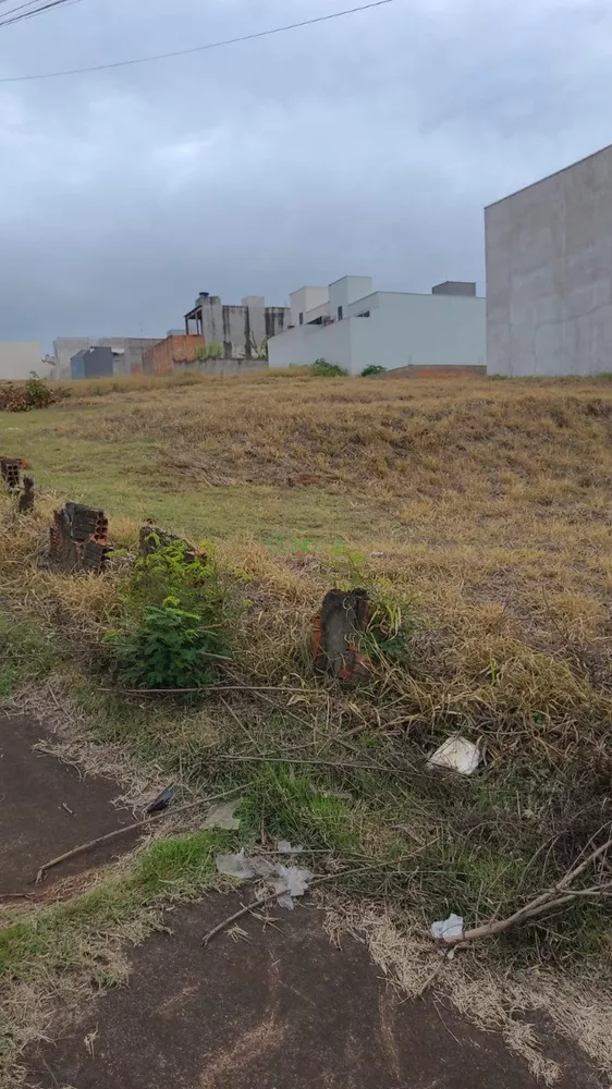 Terreno, 251 m² - Foto 4