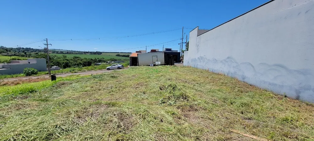 Terreno, 250 m² - Foto 2