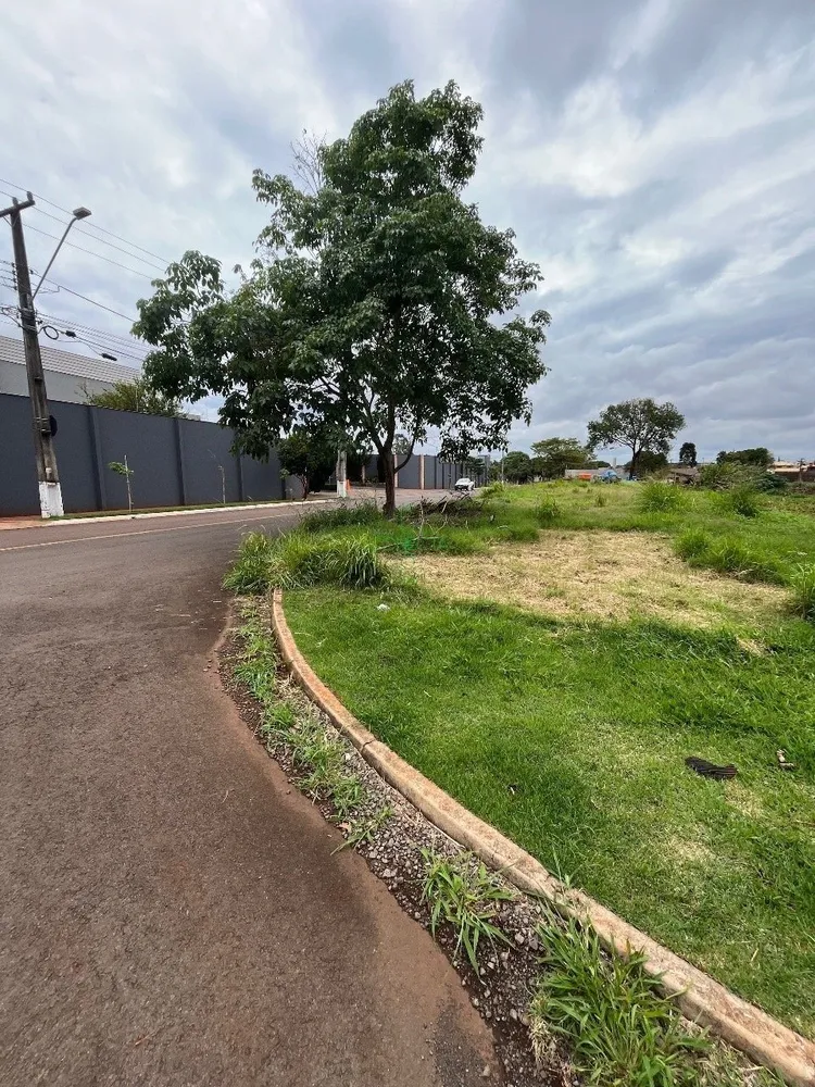 Terreno, 4938 m² - Foto 6