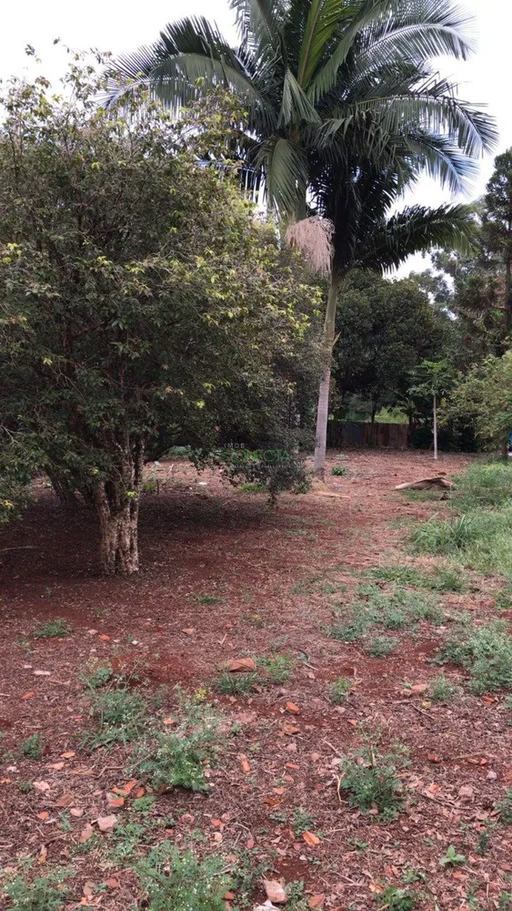 Chácara, 4000 m² - Foto 6