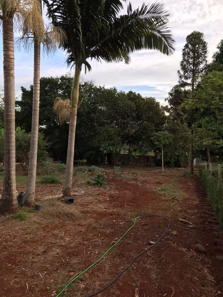 Chácara, 4000 m² - Foto 4