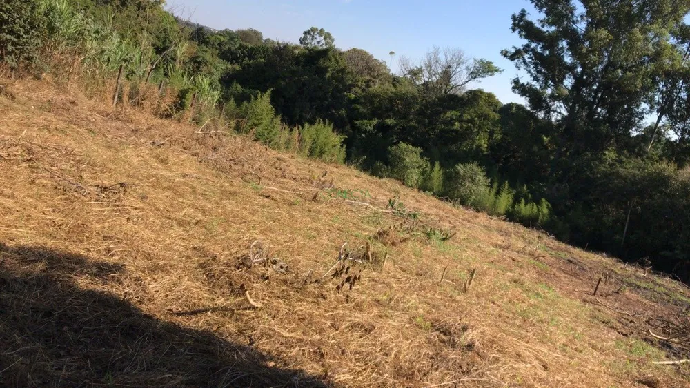 Chácara, 4000 m² - Foto 3