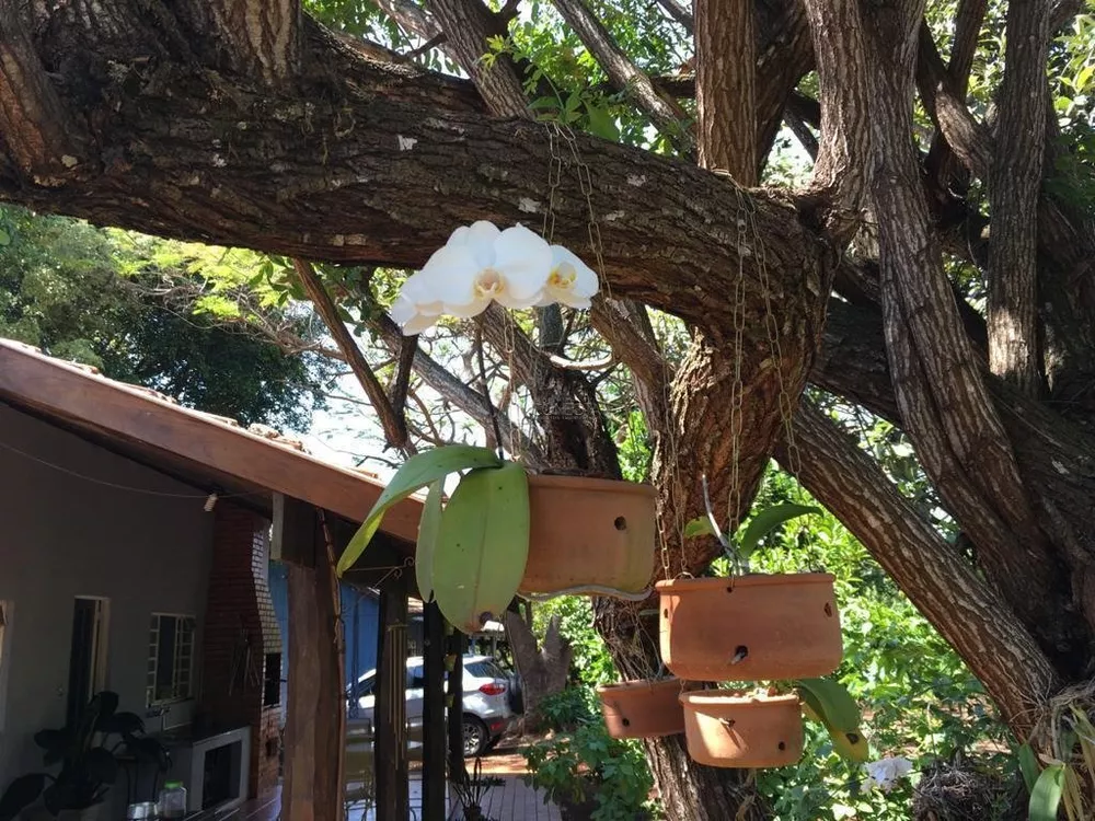 Chácara, 3 quartos, 4800 m² - Foto 4