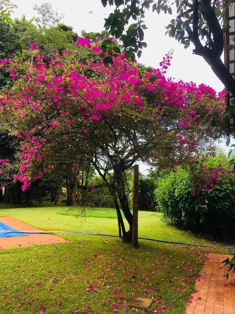 Chácara, 3 quartos, 4800 m² - Foto 1