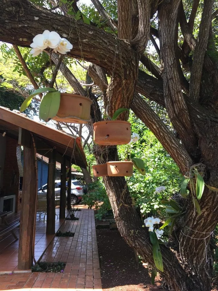 Chácara, 3 quartos, 4800 m² - Foto 3