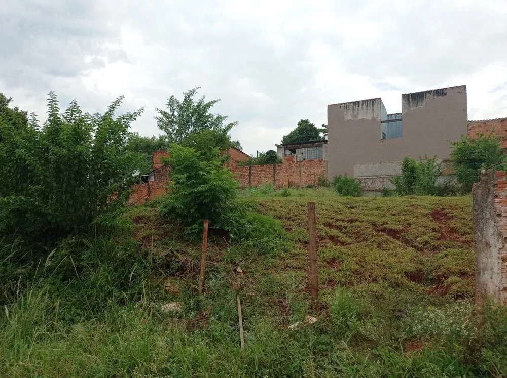 Terreno, 250 m² - Foto 3