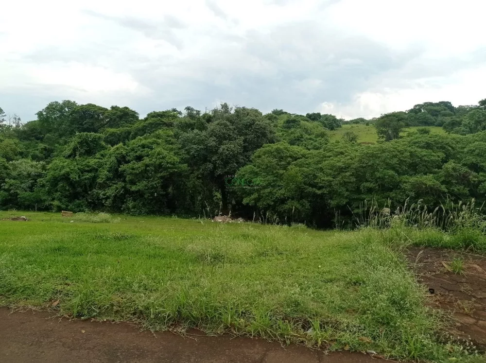 Terreno, 250 m² - Foto 4