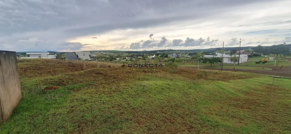 Terreno, 2453 m² - Foto 12