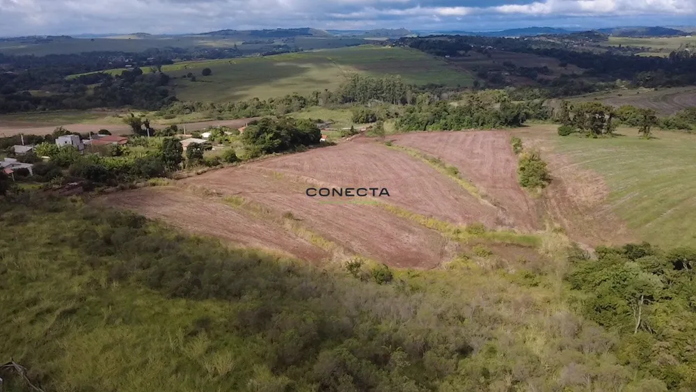 Chácara, 6 hectares - Foto 4
