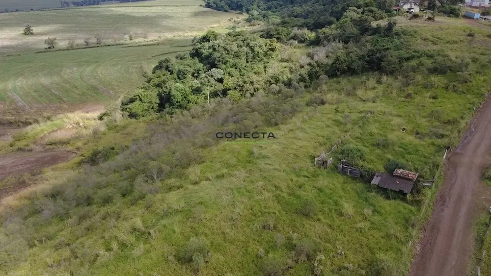 Chácara, 6 hectares - Foto 7