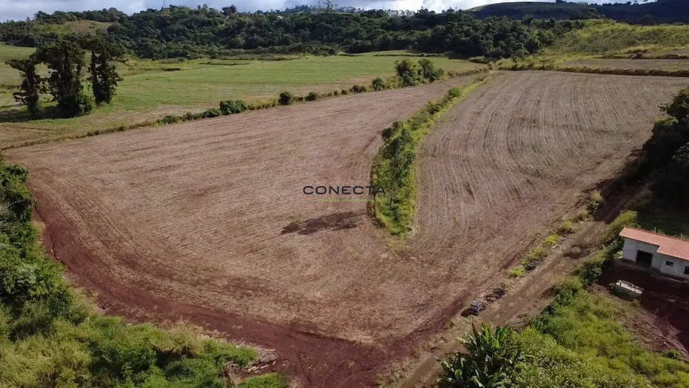 Chácara, 6 hectares - Foto 2