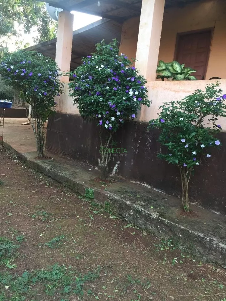 Sítio, 8 hectares - Foto 2