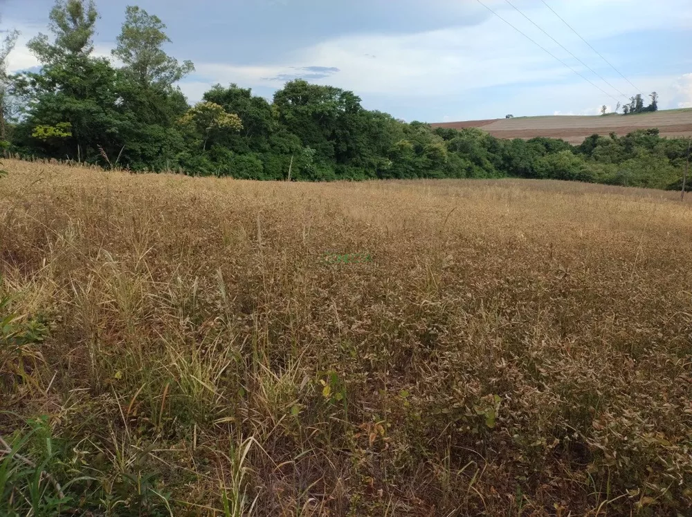 Sítio, 8 hectares - Foto 4