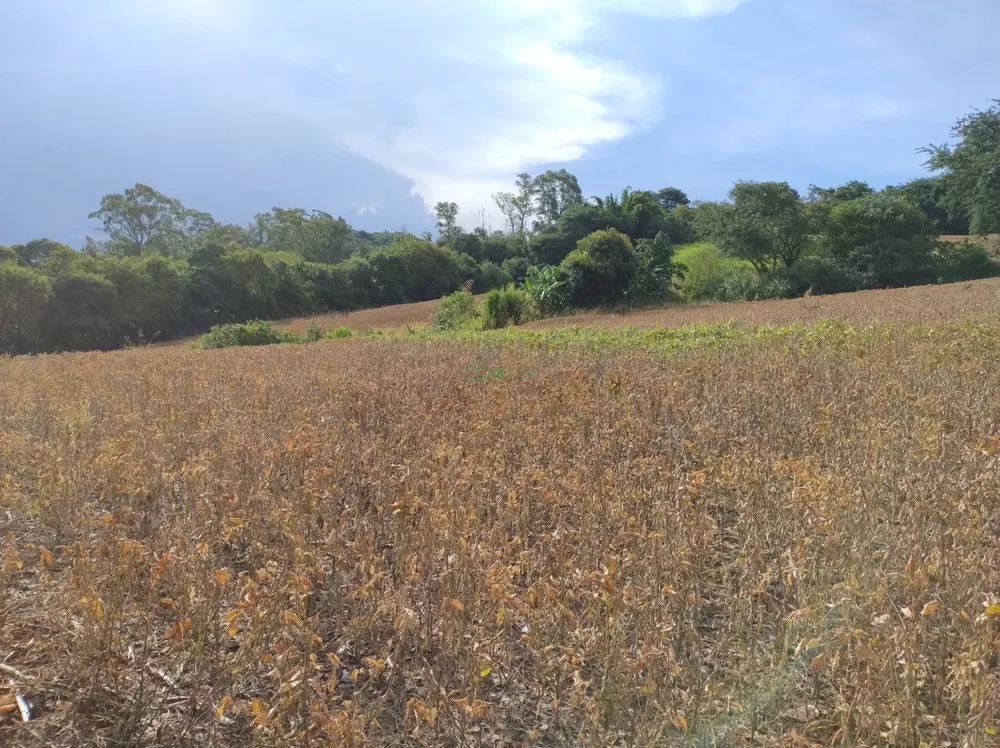 Sítio, 8 hectares - Foto 3